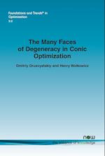 The Many Faces of Degeneracy in Conic Optimization