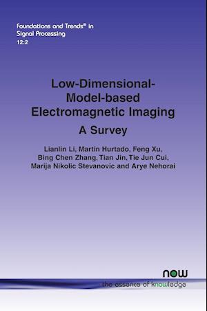 Low-Dimensional-Model-Based Electromagnetic Imaging