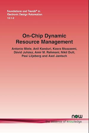 On-Chip Dynamic Resource Management