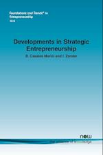 Developments in Strategic Entrepreneurship 