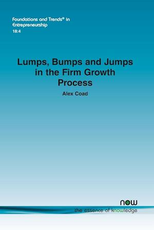 Lumps, Bumps and Jumps in the Firm Growth Process