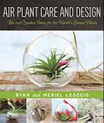 Air Plant Care and Design