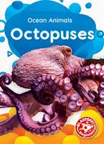 Octopuses