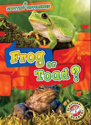 Frog or Toad?