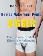 How to Make Your Penis BIGGER (Large Print)