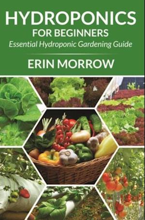 Hydroponics For Beginners