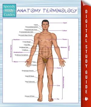 Anatomy Terminology (Speedy Study Guides)