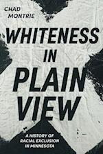 Whiteness in Plain View