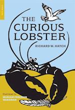 The Curious Lobster