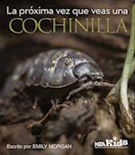 La Proxima Vez Que Veas Una Cochinilla