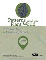 Patterns and the Plant World