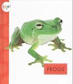 La Rana (Frogs)