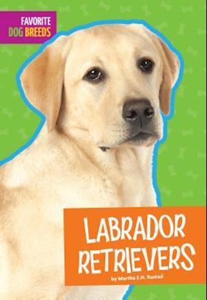 Labrador Retrievers