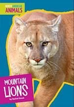 Mountain Lions