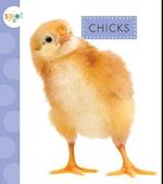 Chicks