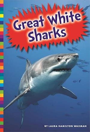 Great White Sharks