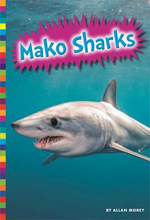 Mako Sharks