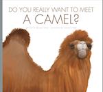 Do You Really Want to Meet a Camel?
