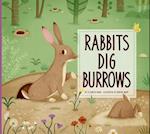 Rabbits Dig Burrows