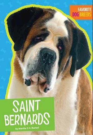 Saint Bernards