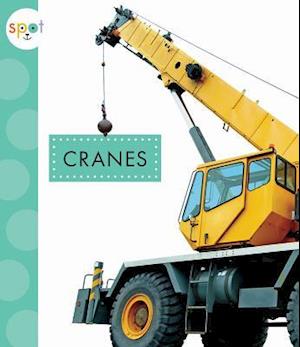 Ideelt Tyggegummi Talje Få Cranes af Mari C. Schuh som Paperback bog på engelsk