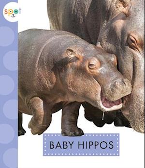 Baby Hippos