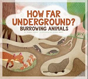 How Far Underground?