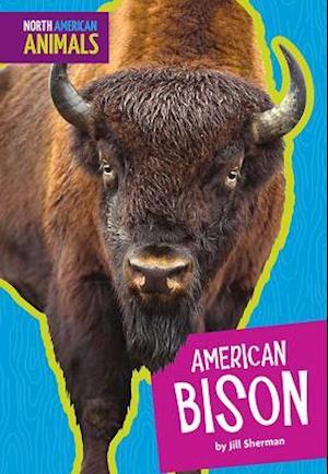 American Bison