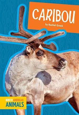 Caribou