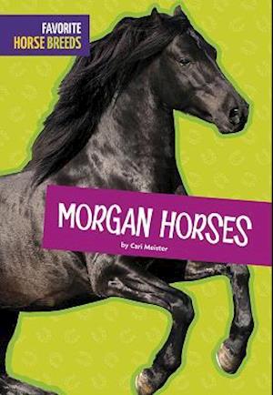 Morgan Horses