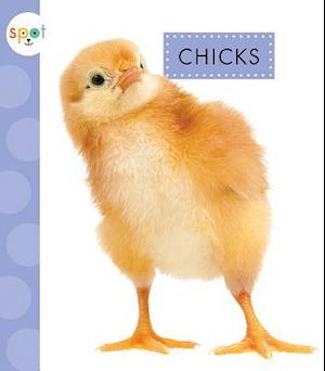 Chicks