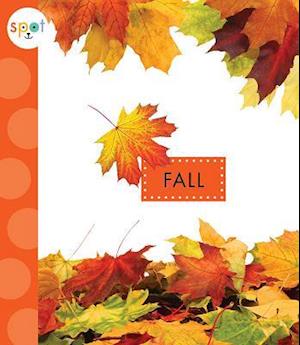 Fall