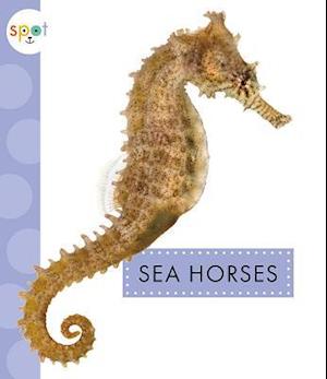 Sea Horses