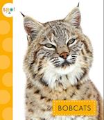 Bobcats