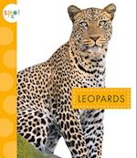 Leopards