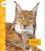 Lynx