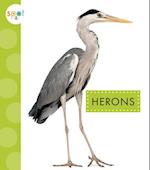 Herons