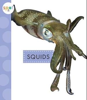 Squids