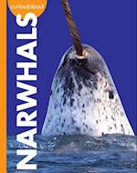 Curious about Narwhals