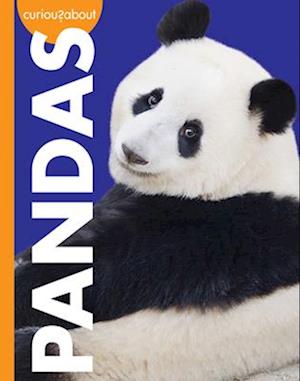 Curious about Pandas