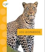 Los Leopardos