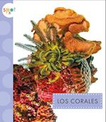 Los Corales