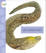 Las Anguilas