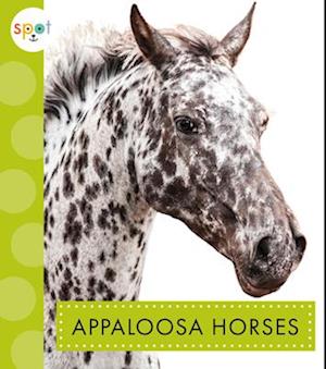 Appaloosa Horses