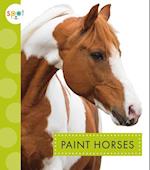 Paint Horses