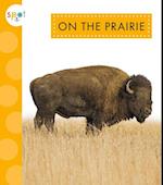 On the Prairie