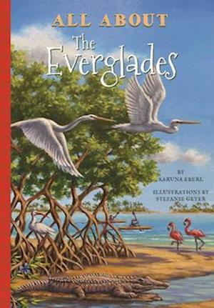 All about the Everglades