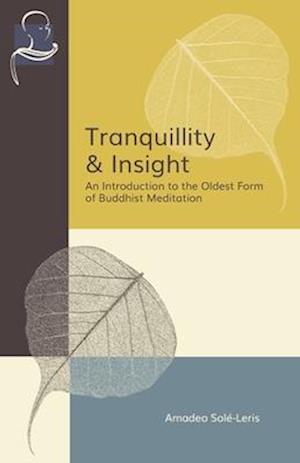 Tranquillity & Insight: An Introduction to the Oldest Form of Buddhist Meditation