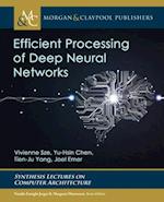 Efficient Processing of Deep Neural Networks