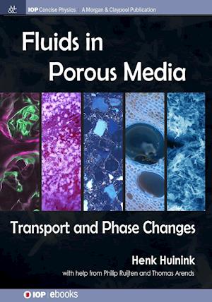 Fluids in Porous Media